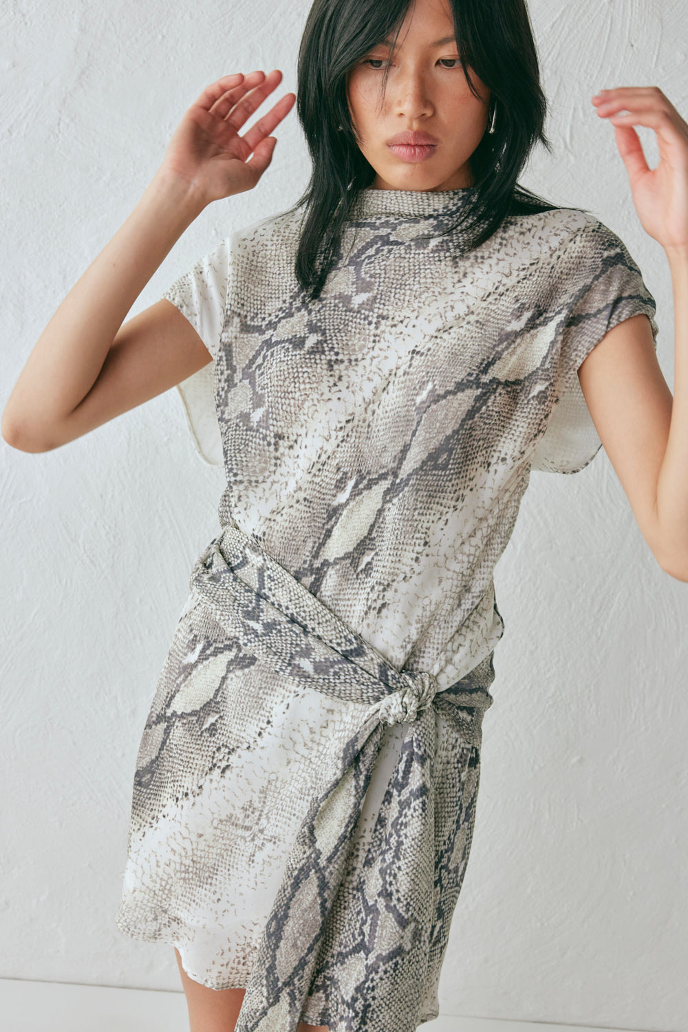 Nuri Mini Dress Snake
